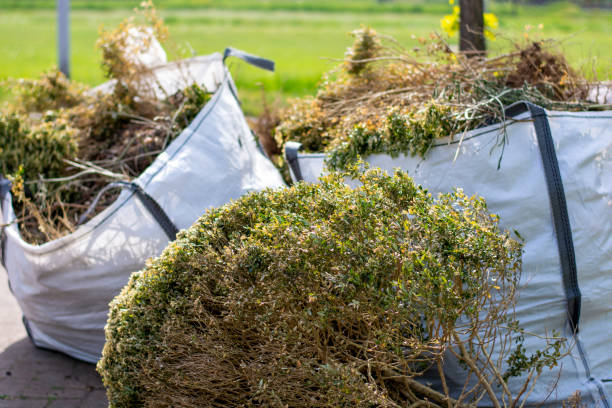 Best Construction Debris Removal  in Palmyra, NJ