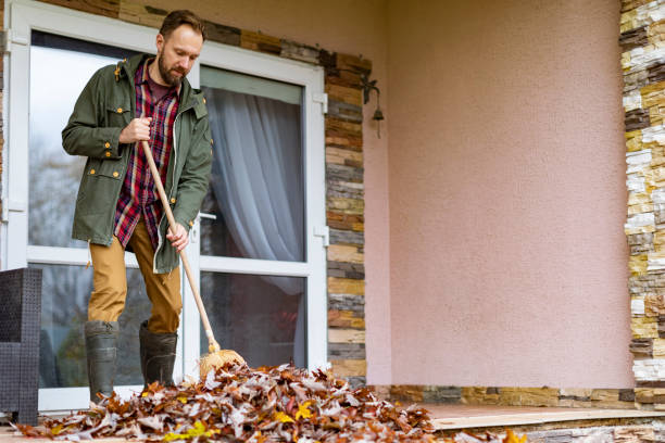 Best Junk Removal Near Me  in Palmyra, NJ